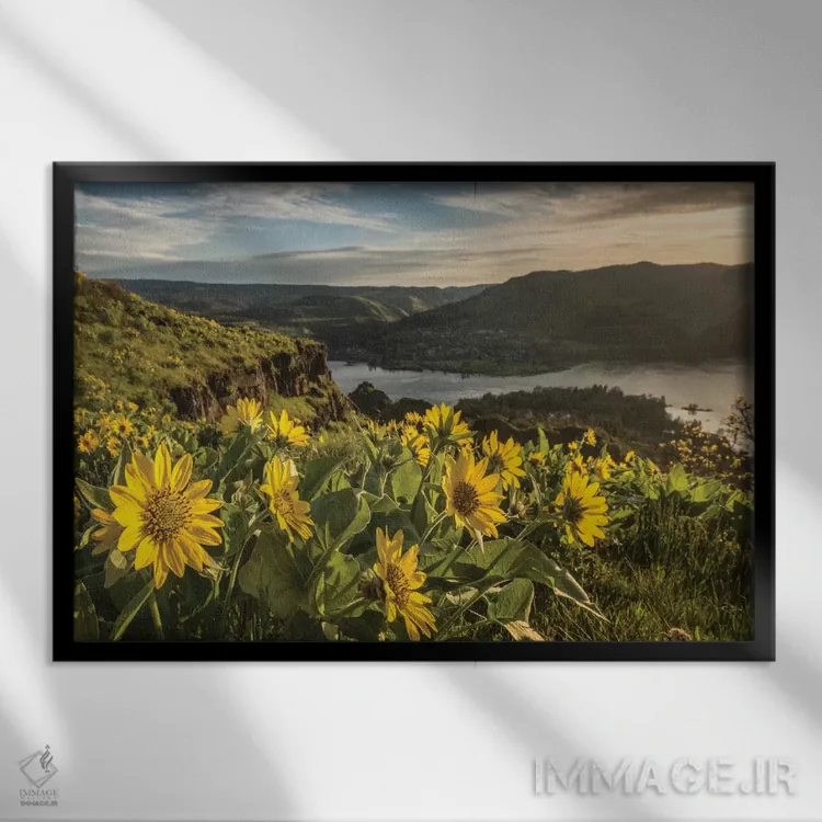 تابلو گرم شدن زیر آفتاب اثر دنی هد - نمای قابدار مشکی