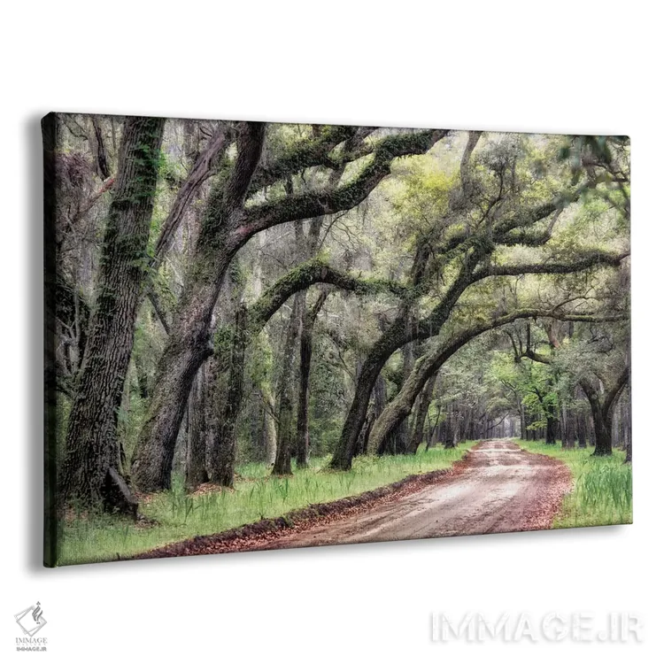 تابلو جاده خاکی ۲ اثر دنی هد - نمای پرسپکتیو محصول