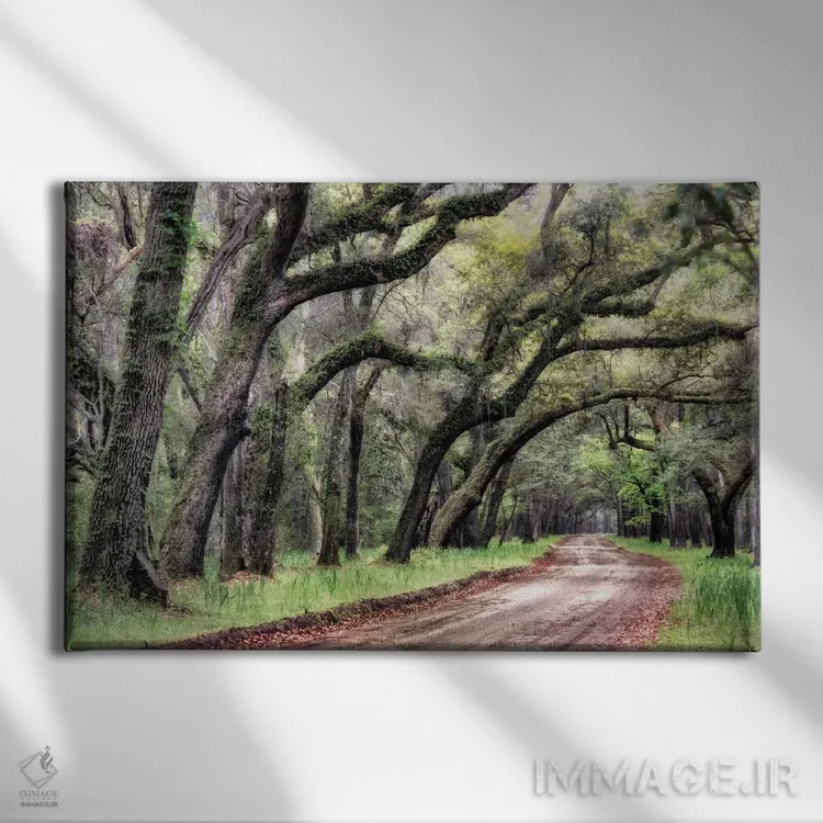 تابلو جاده خاکی ۲ اثر دنی هد - نمای روبهرو روی دیوار