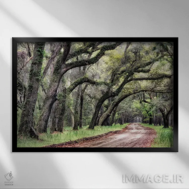 تابلو جاده خاکی ۲ اثر دنی هد - نمای قابدار مشکی