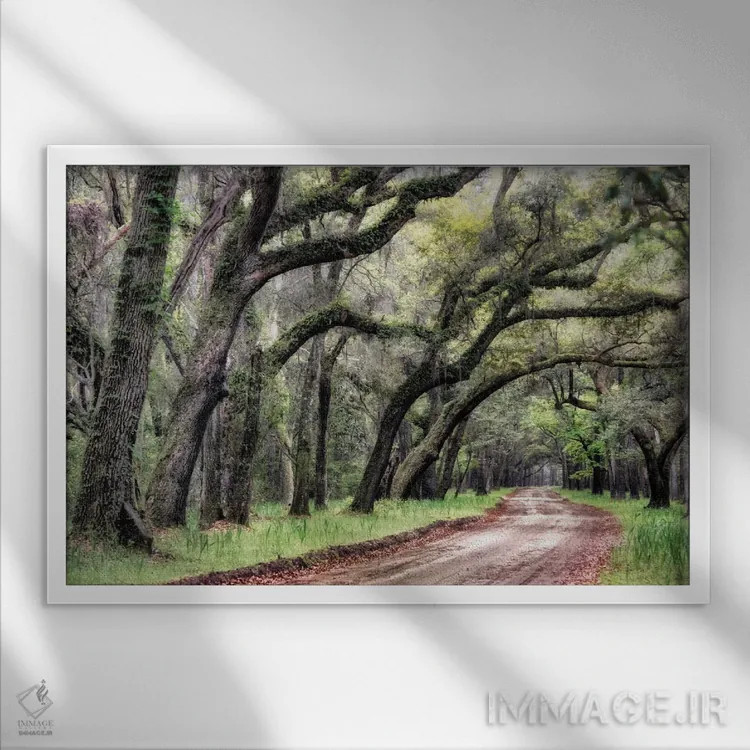 تابلو جاده خاکی ۲ اثر دنی هد - نمای قابدار سفید