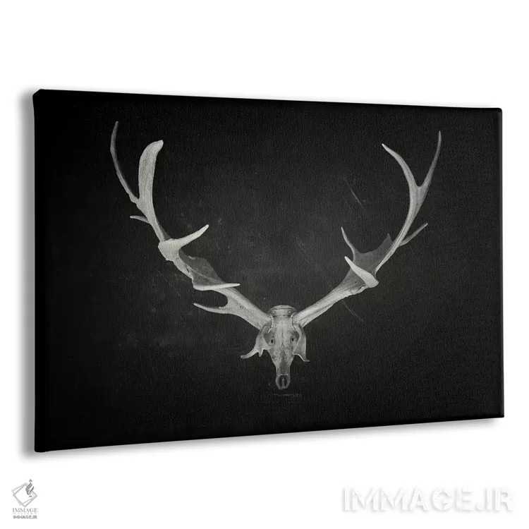 تابلو پادشاه مرده اثر دکتر لوکاس برژاک - نمای پرسپکتیو محصول