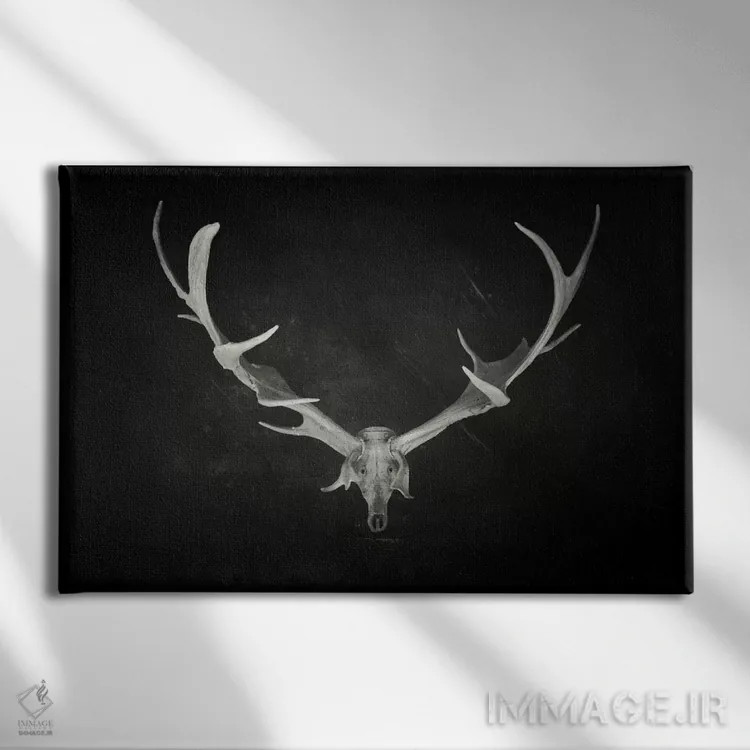 تابلو پادشاه مرده اثر دکتر لوکاس برژاک - نمای روبهرو روی دیوار