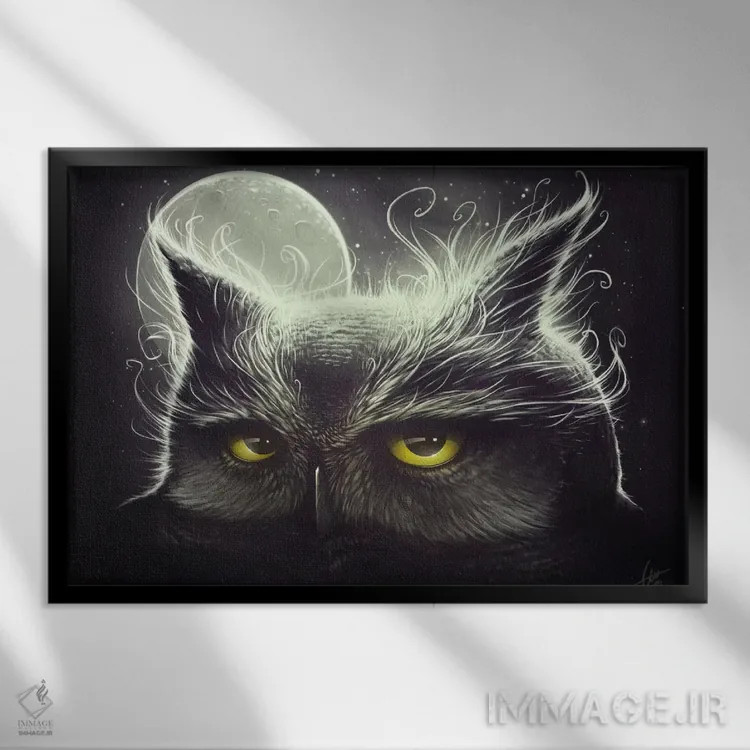 تابلو جغد و ماه اثر دکتر لوکاس برژاک - نمای قابدار مشکی