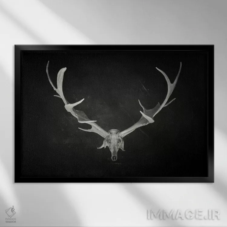 تابلو پادشاه مرده اثر دکتر لوکاس برژاک - نمای قابدار مشکی