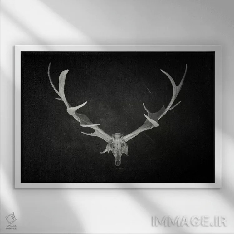 تابلو پادشاه مرده اثر دکتر لوکاس برژاک - نمای قابدار سفید