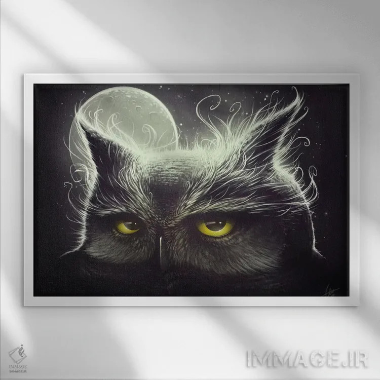 تابلو جغد و ماه اثر دکتر لوکاس برژاک - نمای قابدار سفید