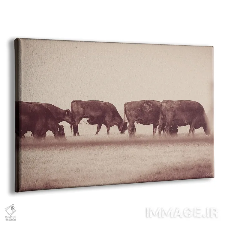 تابلو صف گاوها اثر دانی کوئلن - نمای پرسپکتیو محصول