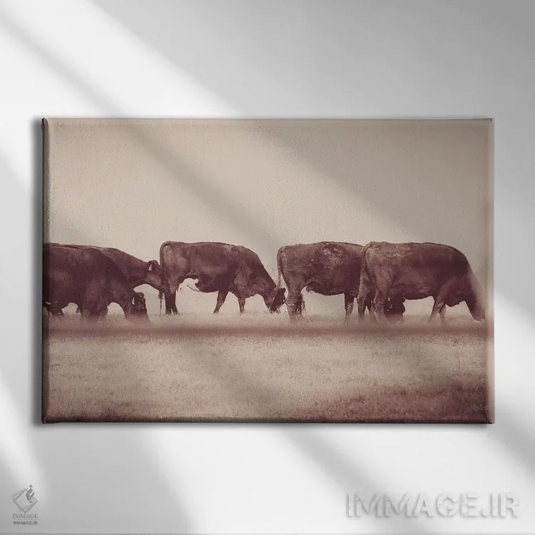تابلو صف گاوها اثر دانی کوئلن - نمای روبهرو روی دیوار