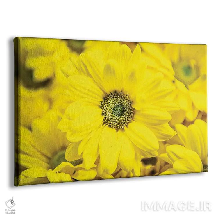 تابلو شکوفایی گلها V اثر دانی کوئلن - نمای پرسپکتیو محصول