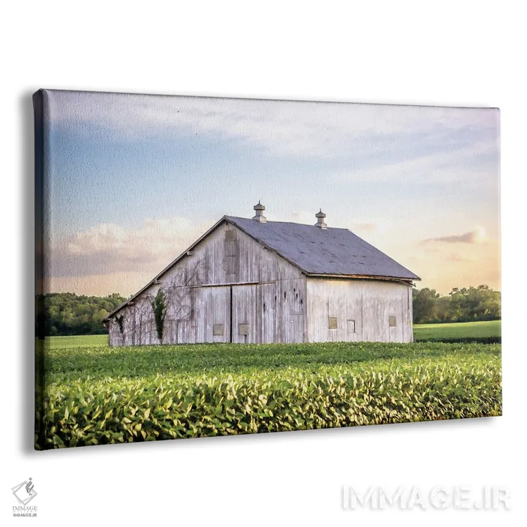 تابلو انبار روستایی اوهایو اثر دانی کوئلن - نمای پرسپکتیو محصول