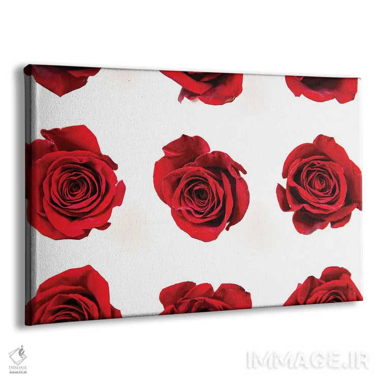 تابلو گلهای رز قرمز II اثر دانی کوئلن - نمای پرسپکتیو محصول