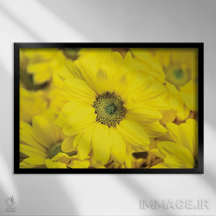 تابلو شکوفایی گلها V اثر دانی کوئلن - نمای قابدار مشکی