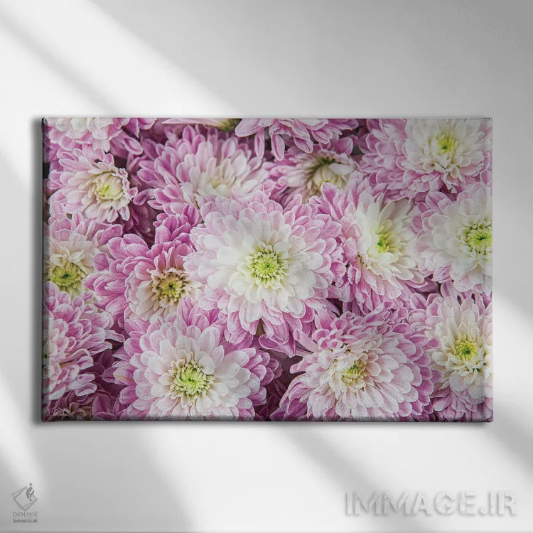 تابلو زیبا در بنفش I اثر دانی کوئلن - نمای روبهرو روی دیوار