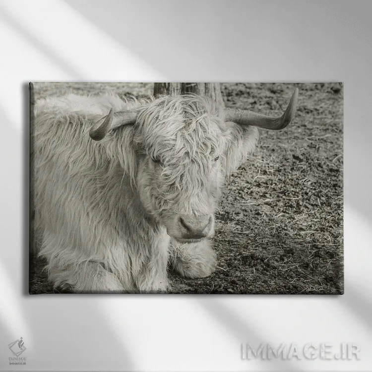 تابلو پیرزن (شخصیت یا نماد) اثر دانی کوئلن - نمای روبهرو روی دیوار