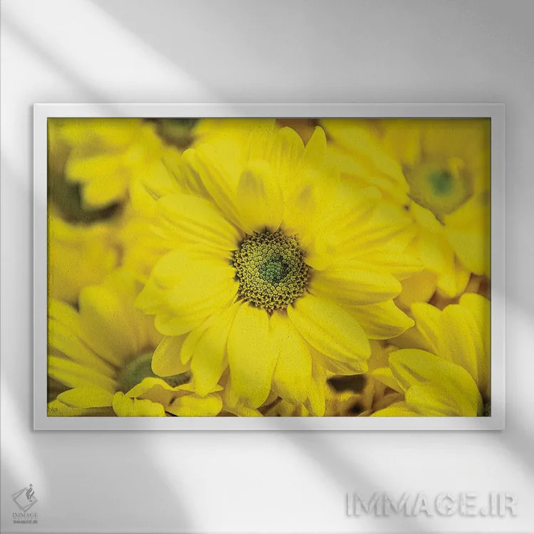 تابلو شکوفایی گلها V اثر دانی کوئلن - نمای قابدار سفید