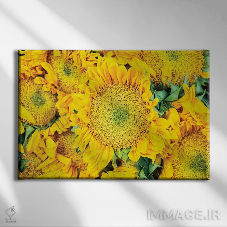 تابلو حس پاییز I اثر دانی کوئلن - نمای روبهرو روی دیوار