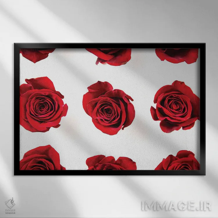 تابلو گلهای رز قرمز II اثر دانی کوئلن - نمای قابدار مشکی