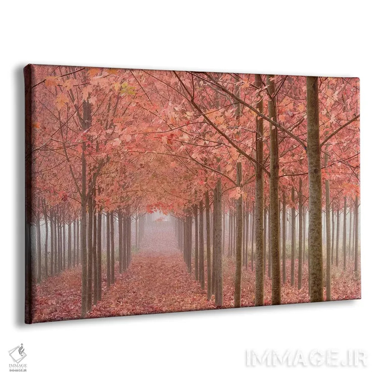 تابلو منظره مهآلود پاییزی، دره ویلامت، اورگان، آمریکا اثر دان پاولسون - نمای پرسپکتیو محصول