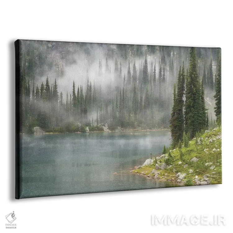 تابلو مه و باران بر فراز دریاچه اِوا، پارک ملی ماونت راولستوک، بریتیش کلمبیا، کانادا اثر دان پاولسون - نمای پرسپکتیو محصول