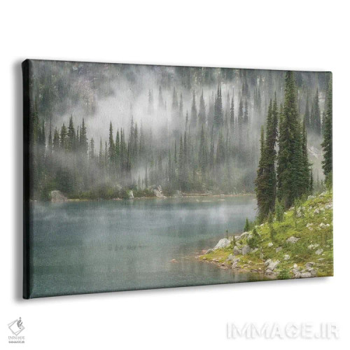 تابلو مه و باران بر فراز دریاچه اِوا، پارک ملی ماونت راولستوک، بریتیش کلمبیا، کانادا اثر دان پاولسون - نمای پرسپکتیو محصول