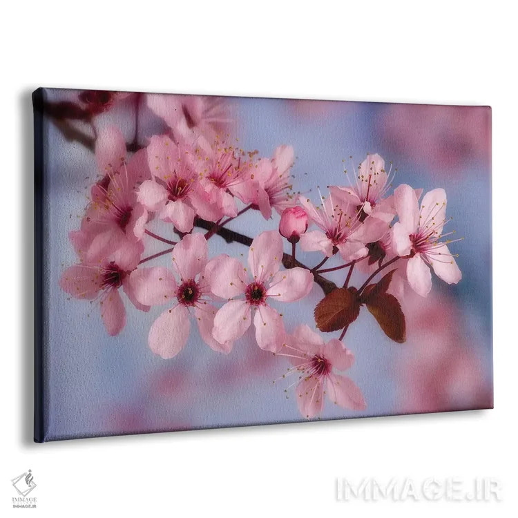 تابلو نمای نزدیک شکوفههای گیلاس اثر دان پاولسون - نمای پرسپکتیو محصول