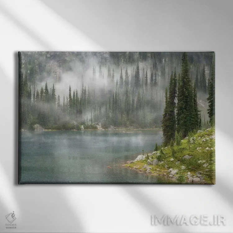 تابلو مه و باران بر فراز دریاچه اِوا، پارک ملی ماونت راولستوک، بریتیش کلمبیا، کانادا اثر دان پاولسون - نمای روبهرو روی دیوار