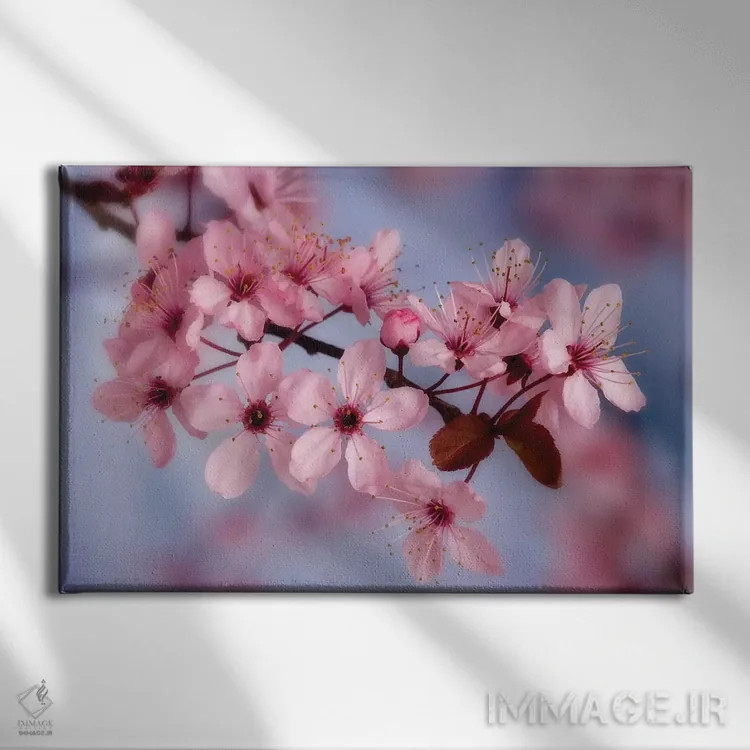 تابلو نمای نزدیک شکوفههای گیلاس اثر دان پاولسون - نمای روبهرو روی دیوار