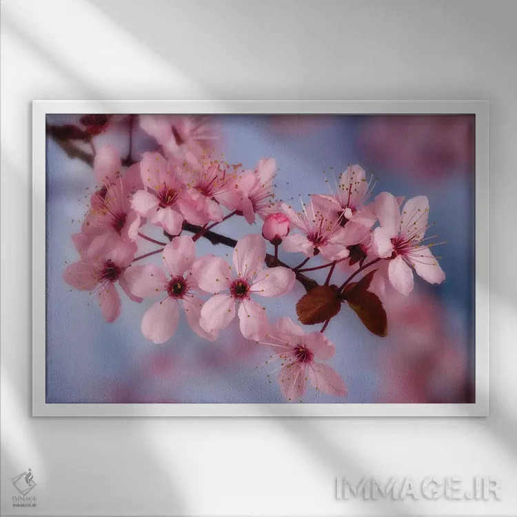 تابلو نمای نزدیک شکوفههای گیلاس اثر دان پاولسون - نمای قابدار سفید