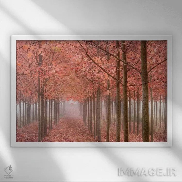 تابلو منظره مهآلود پاییزی، دره ویلامت، اورگان، آمریکا اثر دان پاولسون - نمای قابدار سفید