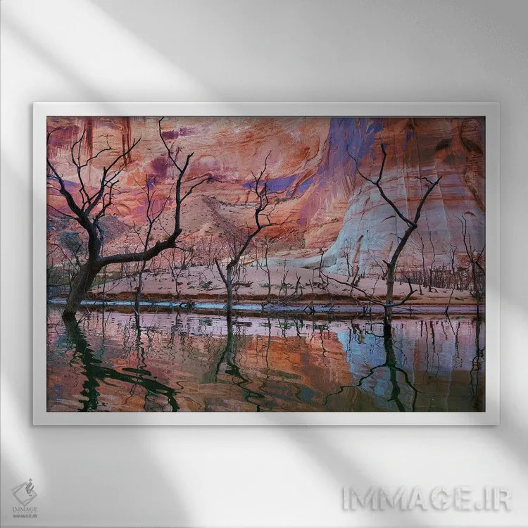 تابلو درختان خشکیده، دره آیسبرگ، منطقه تفریحی گلن کنیون، یوتا، آمریکا اثر دان پاولسون - نمای قابدار سفید