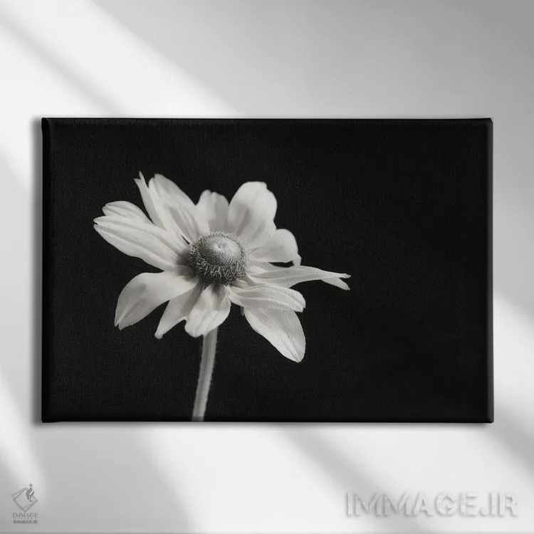 تابلو ظرافت گلها I اثر دیان پوینسکی - نمای روبهرو روی دیوار