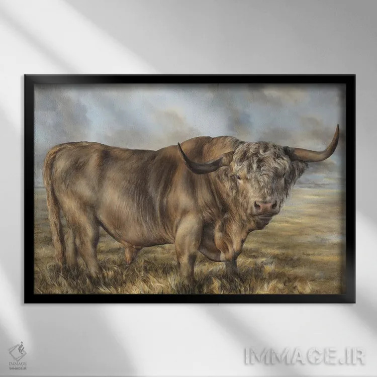 تابلو گاو قهوهای ارتفاعات اثر باورا پرژوگینا - نمای قابدار مشکی