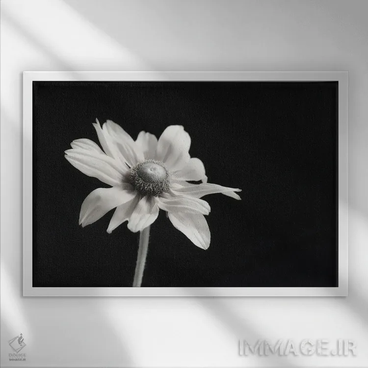 تابلو ظرافت گلها I اثر دیان پوینسکی - نمای قابدار سفید