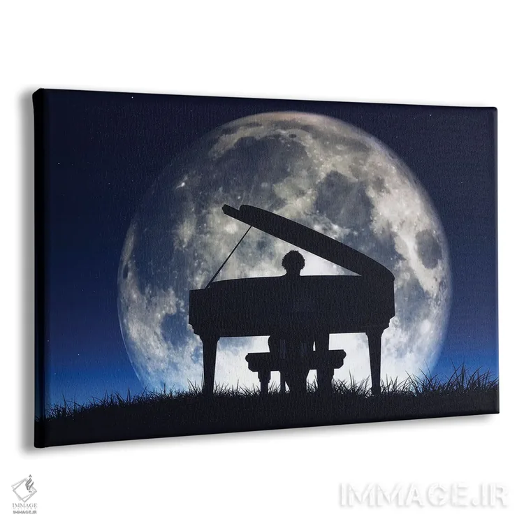 تابلو سایهروشن مردی در حال نواختن پیانو اثر اورلاایماخن (تصویر اورلا؛ استودیو عکاسی/گرافیک) - نمای پرسپکتیو محصول