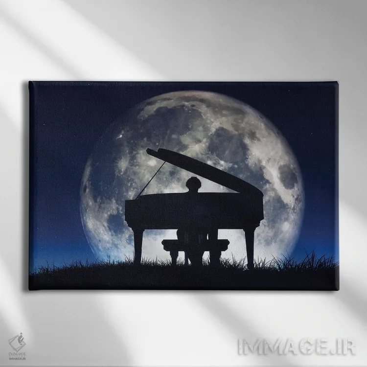 تابلو سایهروشن مردی در حال نواختن پیانو اثر اورلاایماخن (تصویر اورلا؛ استودیو عکاسی/گرافیک) - نمای روبهرو روی دیوار