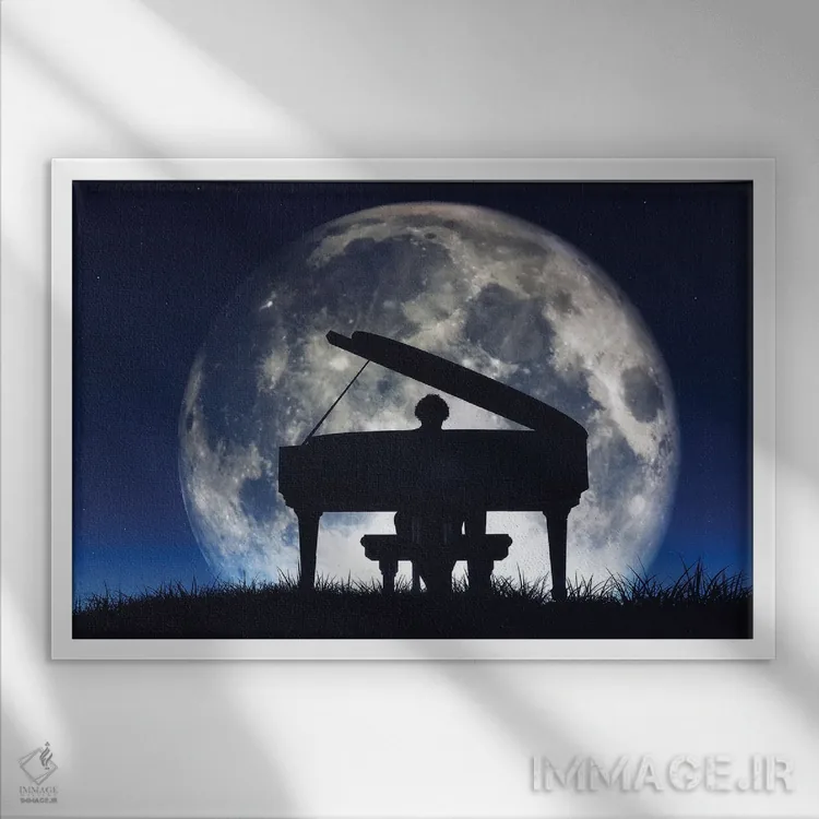 تابلو سایهروشن مردی در حال نواختن پیانو اثر اورلاایماخن (تصویر اورلا؛ استودیو عکاسی/گرافیک) - نمای قابدار سفید