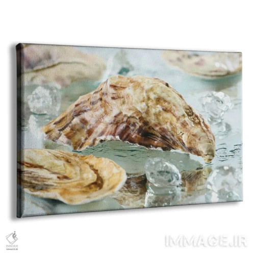 تابلو صدف صدفی اثر دپوزیت فوتوز (سایت بانک تصویر) - نمای پرسپکتیو محصول