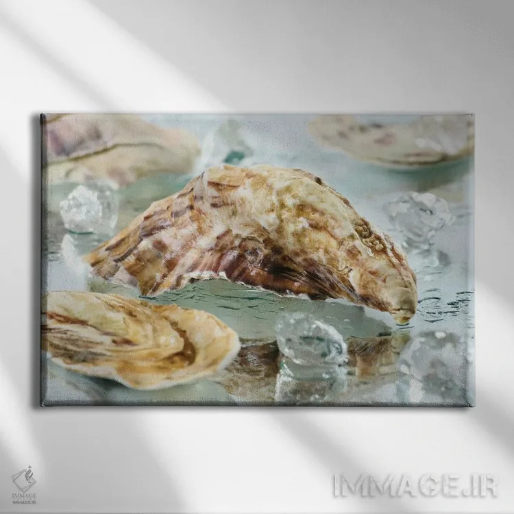 تابلو صدف صدفی اثر دپوزیت فوتوز (سایت بانک تصویر) - نمای روبهرو روی دیوار