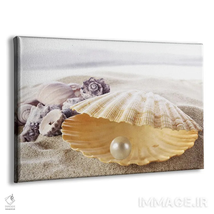 تابلو صدف با مروارید اثر دپوزیت فوتوز (سایت بانک تصویر) - نمای پرسپکتیو محصول