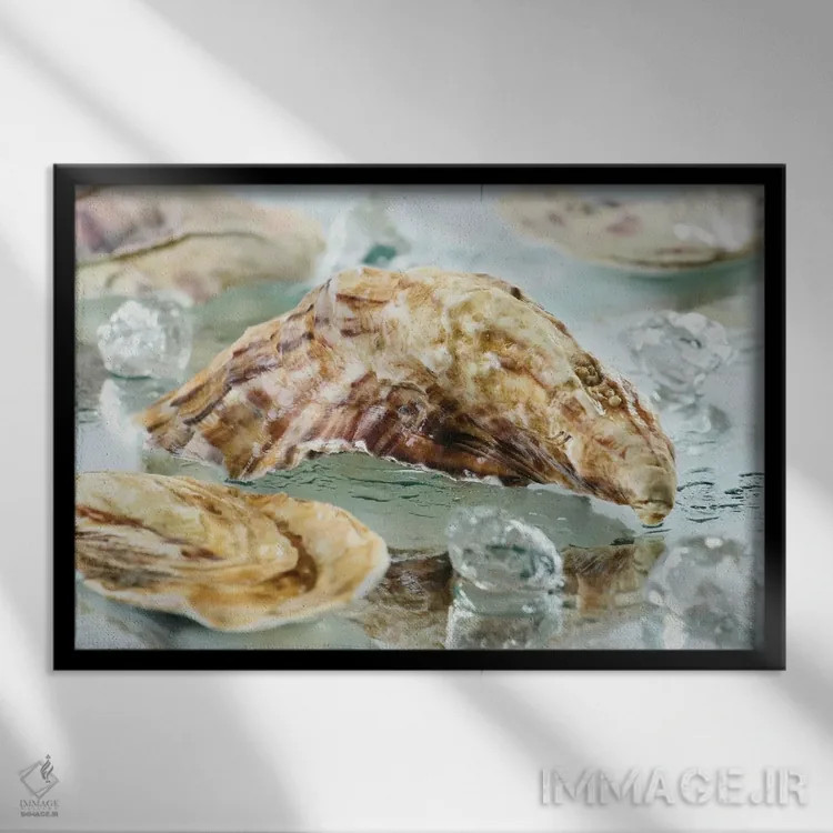 تابلو صدف صدفی اثر دپوزیت فوتوز (سایت بانک تصویر) - نمای قابدار مشکی