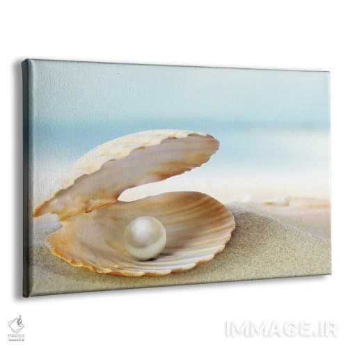 تابلو صدف با مروارید اثر دپوزیت فوتوز (سایت بانک تصویر) - نمای پرسپکتیو محصول