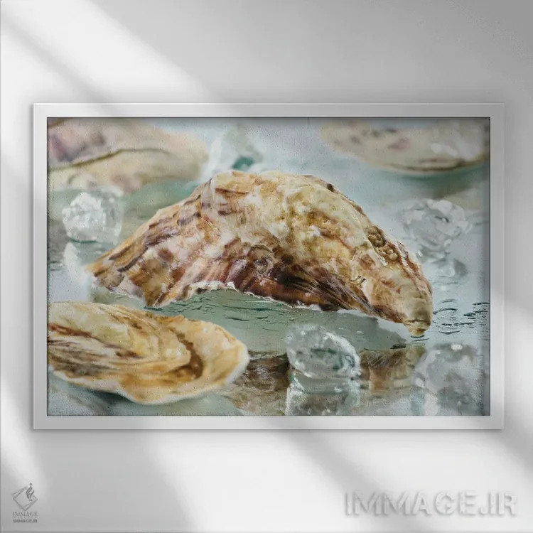 تابلو صدف صدفی اثر دپوزیت فوتوز (سایت بانک تصویر) - نمای قابدار سفید