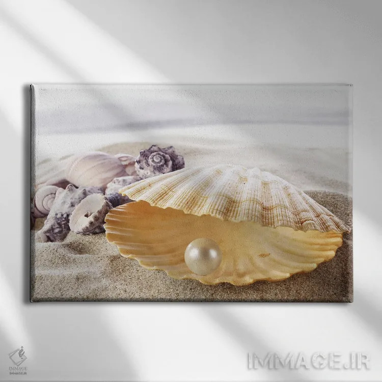 تابلو صدف با مروارید اثر دپوزیت فوتوز (سایت بانک تصویر) - نمای روبهرو روی دیوار
