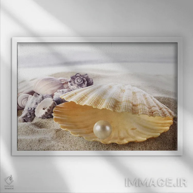 تابلو صدف با مروارید اثر دپوزیت فوتوز (سایت بانک تصویر) - نمای قابدار سفید
