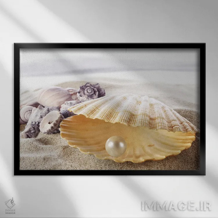 تابلو صدف با مروارید اثر دپوزیت فوتوز (سایت بانک تصویر) - نمای قابدار مشکی