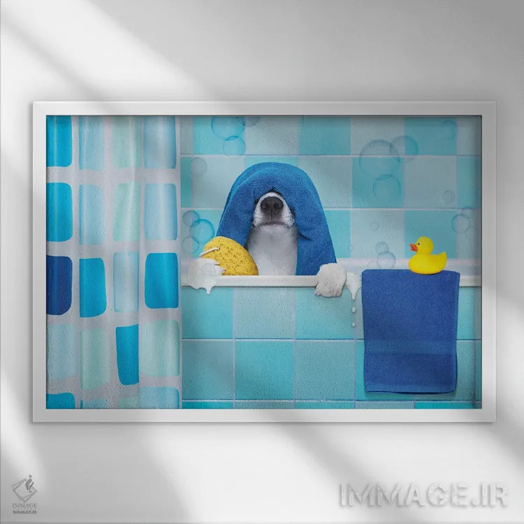 تابلو سگ در حمام I اثر دَمِدیزو - نمای قابدار سفید