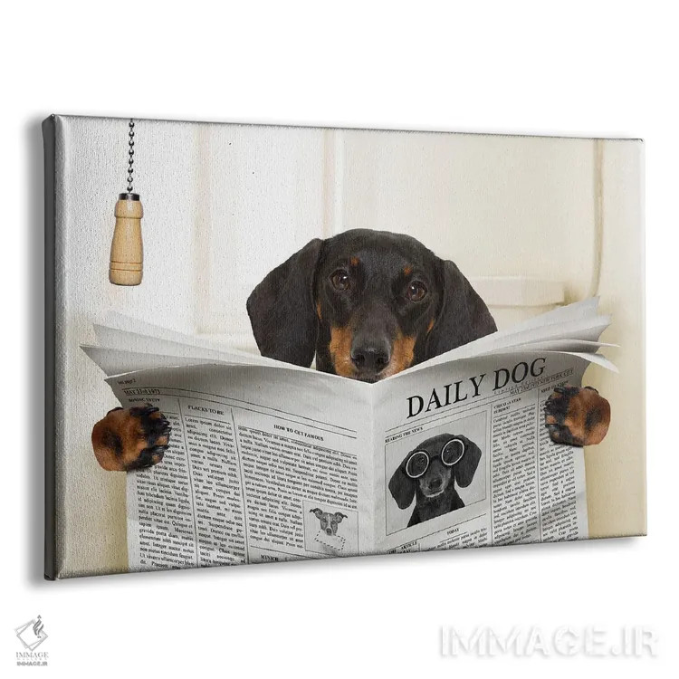 تابلو سگ روی توالت در حال خواندن روزنامه III اثر دَمِدیزو - نمای پرسپکتیو محصول