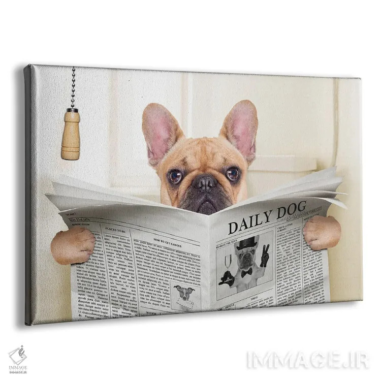 تابلو سگ روی توالت در حال خواندن روزنامه V اثر دَمِدیزو - نمای پرسپکتیو محصول