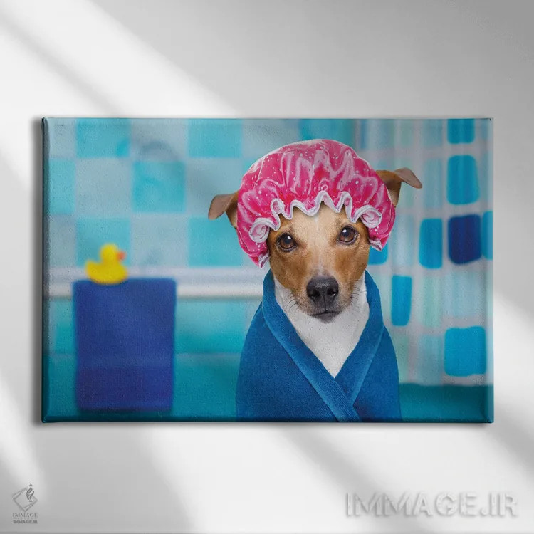تابلو سگ در دوش یا اسپا اثر دَمِدیزو - نمای روبهرو روی دیوار